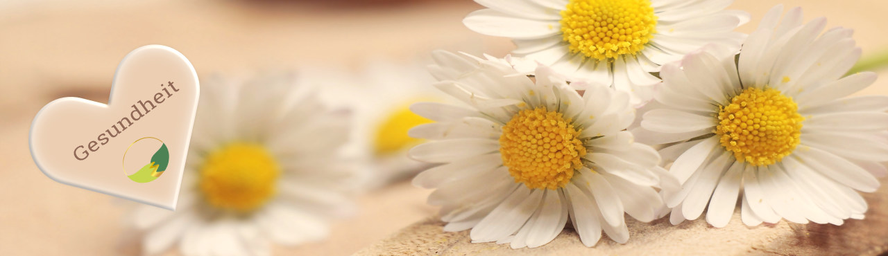 gesundehit gutschein